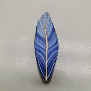 Blue Feather Cane